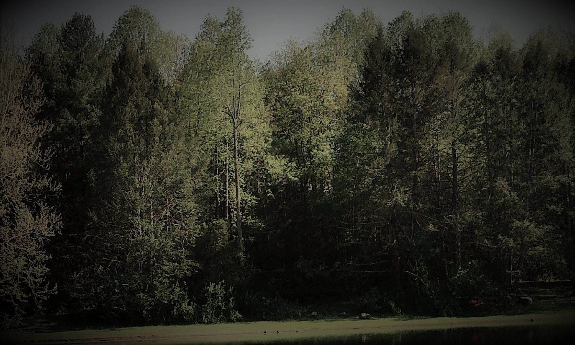 croppedLakeTemp2.jpg Lake Reynovia